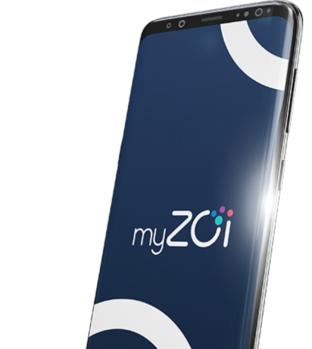 send money through MyZoi